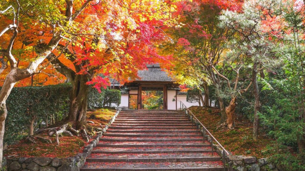京都市にある「哲学の道」